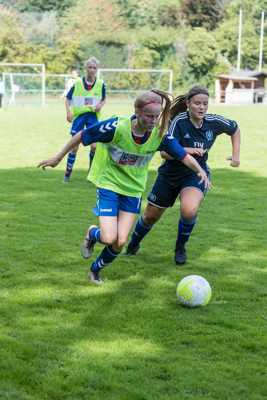 Bild 179 - B-Juniorinnen VfL Pinneberg - HSV : Ergebnis: 1:4